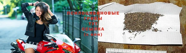 мяу мяу мука Богданович